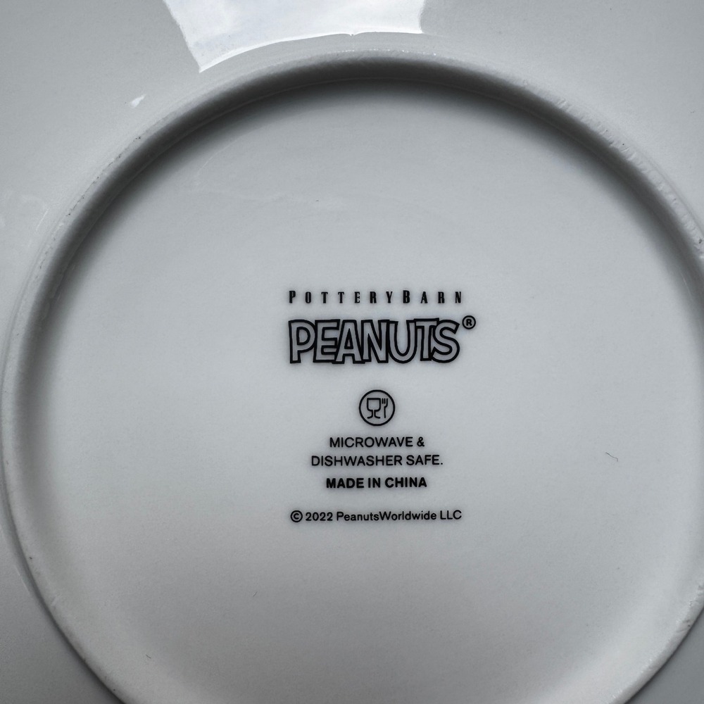 Pottery Barn Peanuts Halloween Plates - Set of 4 - Charlie Brown Snoopy - Picture 7 of 7